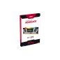 Kingston FURY Renegade DDR5 SDRAM 32GB kit CL32 On-die ECC DIMM 288-PIN
